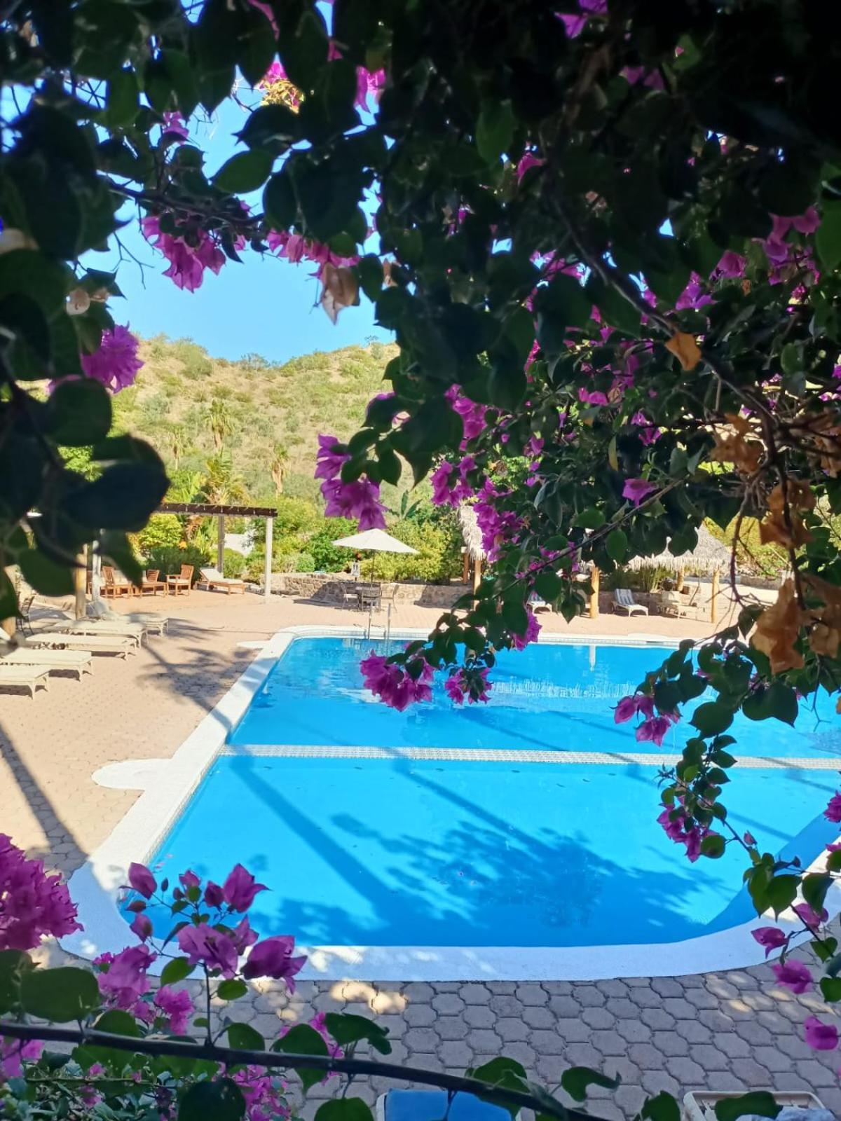 Tripui Hotel Puerto Escondido  Екстериор снимка